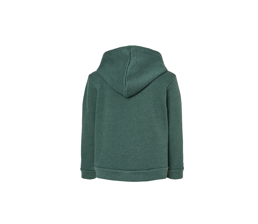 Rkfd Toddler Hoodie ( Heather Forest )